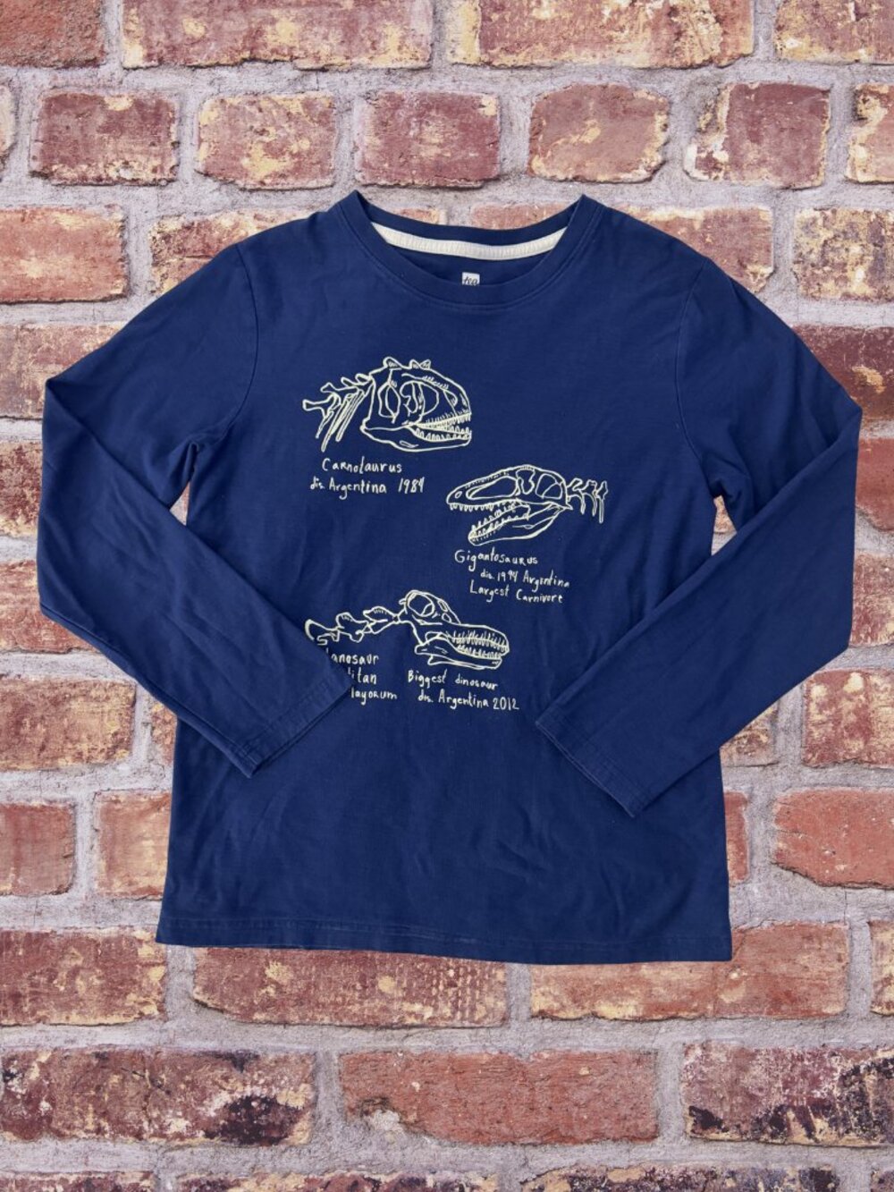 Tea Collection Glow in the Dark Dinosaur Long Sleeve Top